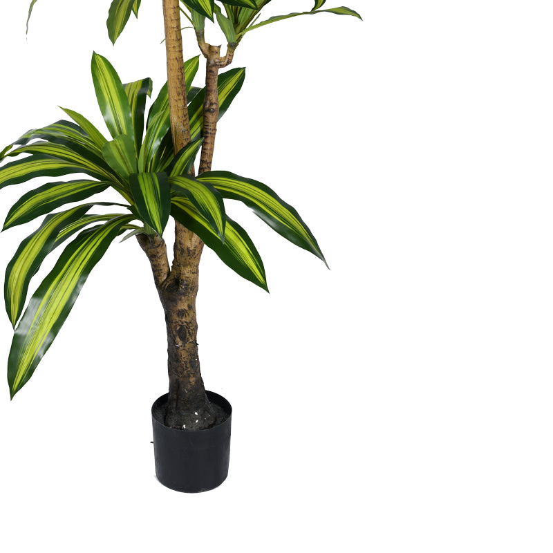Διακοσμητικό φυτό Dracaena I σε γλάστρα Inart πράσινο pp Υ170εκ